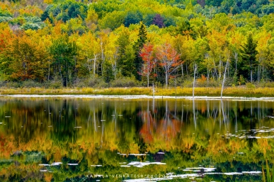 The colors were in full force, a beautiful reflection in the lake. This was in Acadia National Park, Maine